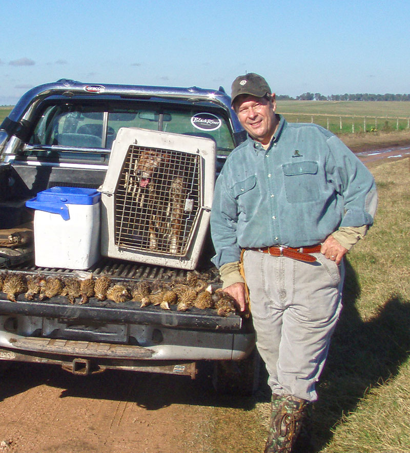 Quail Hunting