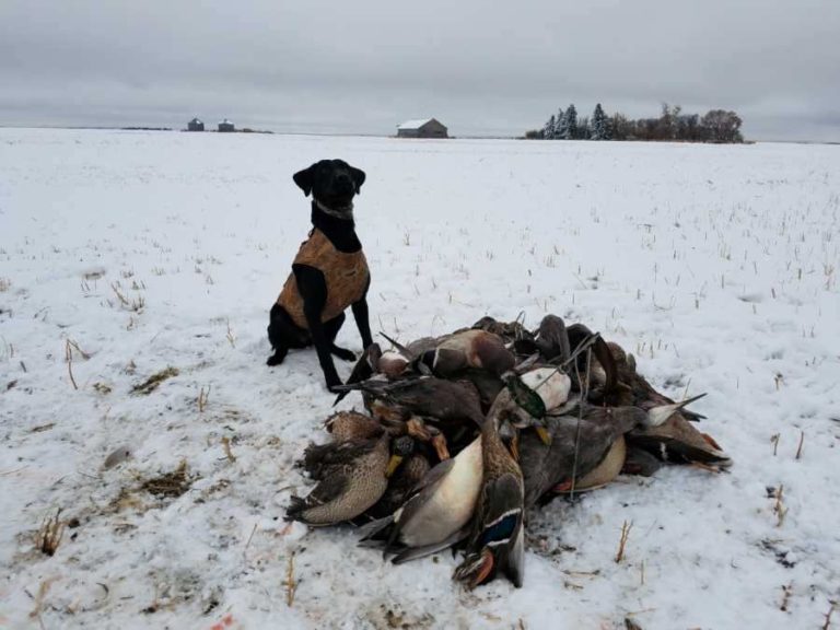 Texas Waterfowl Hunting | Jason Catchings